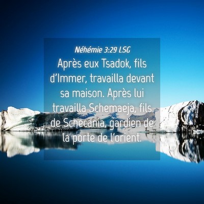 Picture 04 - Néhémie 3:29 LSG - Après eux Tsadok, fils d'Immer, travailla devant - Bible Verse Picture