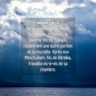 Picture 04 - Néhémie 3:30 LSG - Après eux Hanania, fils de Schélémia, et - Bible Verse Picture