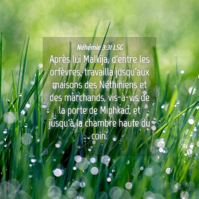 Picture 04 - Néhémie 3:31 LSG - Après lui Malkija, d'entre les orfèvres, - Bible Verse Picture