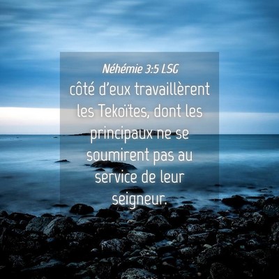 Picture 04 - Néhémie 3:5 LSG - côté d'eux travaillèrent les Tekoïtes, dont - Bible Verse Picture