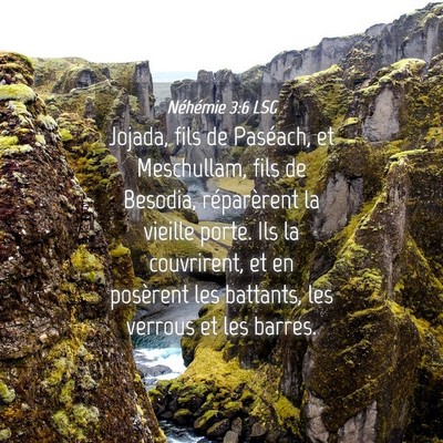 Picture 04 - Néhémie 3:6 LSG - Jojada, fils de Paséach, et Meschullam, fils de - Bible Verse Picture