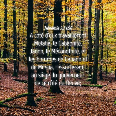 Picture 04 - Néhémie 3:7 LSG - A côté d'eux travaillèrent Melatia, le - Bible Verse Picture