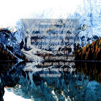 Picture 04 - Néhémie 4:14 LSG - Je regardai, et m'étant levé, je dis aux - Bible Verse Picture