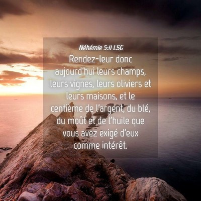 Picture 04 - Néhémie 5:11 LSG - Rendez-leur donc aujourd'hui leurs champs, leurs - Bible Verse Picture