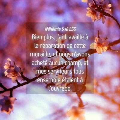 Picture 04 - Néhémie 5:16 LSG - Bien plus, j'ai travaillé à la réparation de - Bible Verse Picture