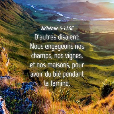 Picture 04 - Néhémie 5:3 LSG - D'autres disaient: Nous engageons nos champs, nos - Bible Verse Picture