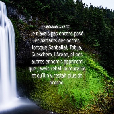 Picture 04 - Néhémie 6:1 LSG - Je n'avais pas encore posé les battants des - Bible Verse Picture