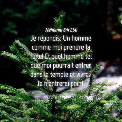 Picture 04 - Néhémie 6:11 LSG - Je répondis: Un homme comme moi prendre la - Bible Verse Picture