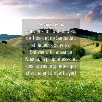 Picture 04 - Néhémie 6:14 LSG - Souviens-toi, ô mon Dieu, de Tobija et de - Bible Verse Picture