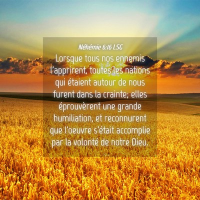 Picture 04 - Néhémie 6:16 LSG - Lorsque tous nos ennemis l'apprirent, toutes les - Bible Verse Picture