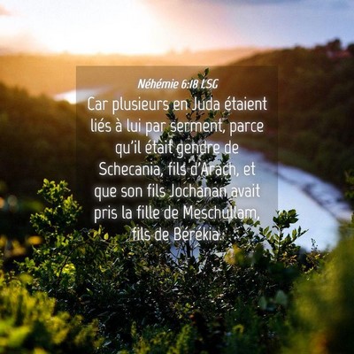 Picture 04 - Néhémie 6:18 LSG - Car plusieurs en Juda étaient liés à lui par - Bible Verse Picture