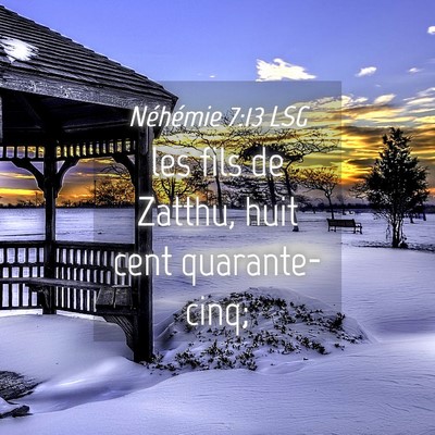 Picture 04 - Néhémie 7:13 LSG - les fils de Zatthu, huit cent - Bible Verse Picture