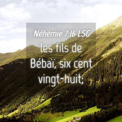 Picture 04 - Néhémie 7:16 LSG - les fils de Bébaï, six cent - Bible Verse Picture