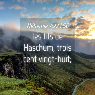 Picture 04 - Néhémie 7:22 LSG - les fils de Haschum, trois cent - Bible Verse Picture