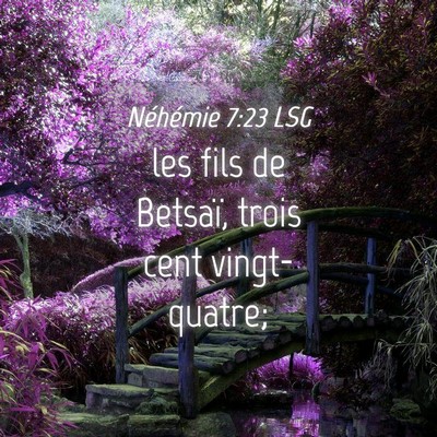 Picture 04 - Néhémie 7:23 LSG - les fils de Betsaï, trois cent - Bible Verse Picture
