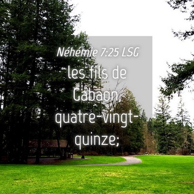 Picture 04 - Néhémie 7:25 LSG - les fils de Gabaon, - Bible Verse Picture
