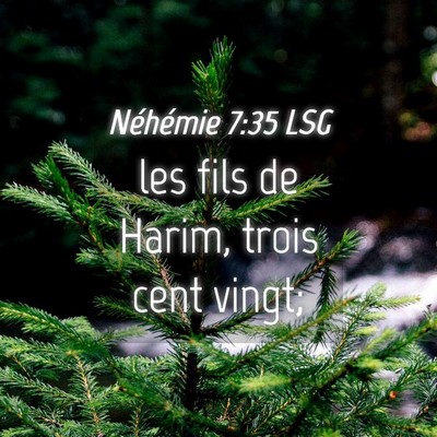 Picture 04 - Néhémie 7:35 LSG - les fils de Harim, trois cent - Bible Verse Picture