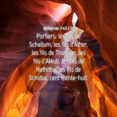 Picture 04 - Néhémie 7:45 LSG - Portiers: les fils de Schallum, les fils d'Ather, - Bible Verse Picture