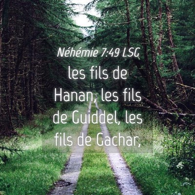 Picture 04 - Néhémie 7:49 LSG - les fils de Hanan, les fils de Guiddel, les fils - Bible Verse Picture