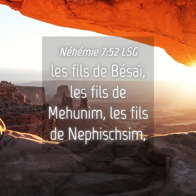Picture 04 - Néhémie 7:52 LSG - les fils de Bésaï, les fils de Mehunim, les - Bible Verse Picture