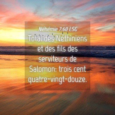 Picture 04 - Néhémie 7:60 LSG - Total des Néthiniens et des fils des serviteurs - Bible Verse Picture