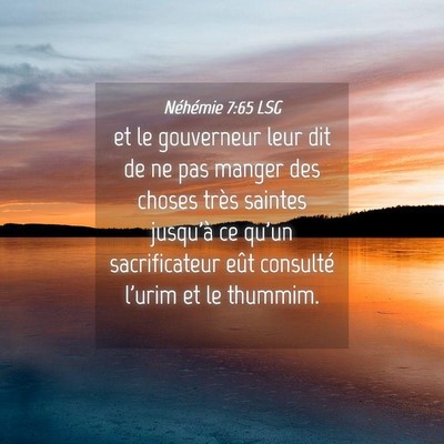 Picture 04 - Néhémie 7:65 LSG - et le gouverneur leur dit de ne pas manger des - Bible Verse Picture