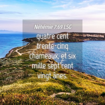 Picture 04 - Néhémie 7:69 LSG - quatre cent trente-cinq chameaux, et six mille - Bible Verse Picture