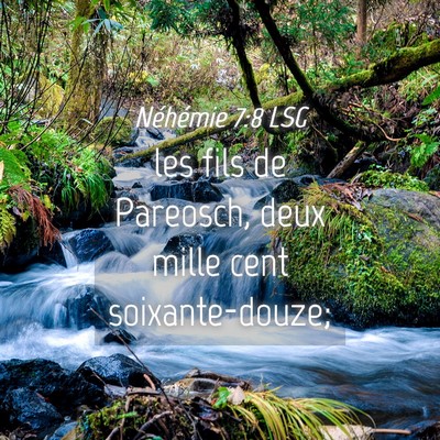Picture 04 - Néhémie 7:8 LSG - les fils de Pareosch, deux mille cent - Bible Verse Picture