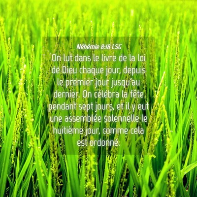 Picture 04 - Néhémie 8:18 LSG - On lut dans le livre de la loi de Dieu chaque - Bible Verse Picture