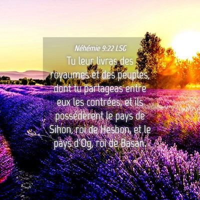 Picture 04 - Néhémie 9:22 LSG - Tu leur livras des royaumes et des peuples, dont - Bible Verse Picture