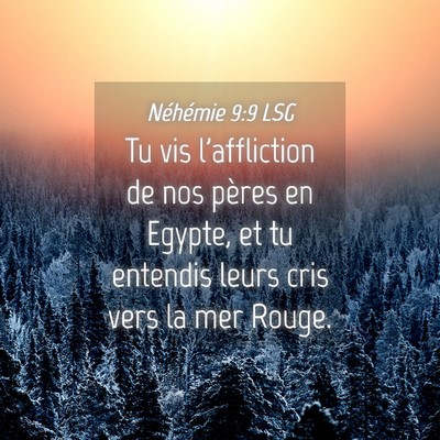 Picture 04 - Néhémie 9:9 LSG - Tu vis l'affliction de nos pères en Egypte, et - Bible Verse Picture