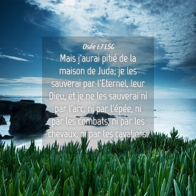 Picture 04 - Osée 1:7 LSG - Mais j'aurai pitié de la maison de Juda; je les - Bible Verse Picture