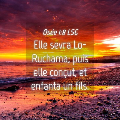 Picture 04 - Osée 1:8 LSG - Elle sevra Lo-Ruchama; puis elle conçut, et - Bible Verse Picture