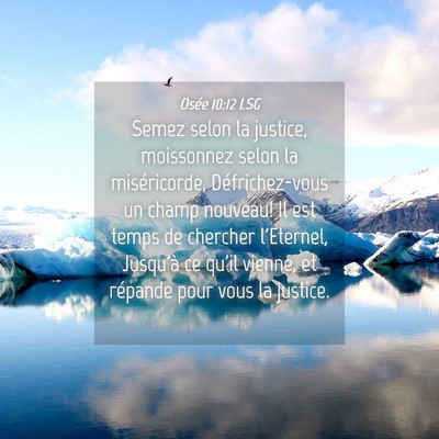 Picture 04 - Osée 10:12 LSG - Semez selon la justice, moissonnez selon la - Bible Verse Picture