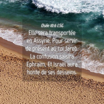 Picture 04 - Osée 10:6 LSG - Elle sera transportée en Assyrie, Pour servir de - Bible Verse Picture