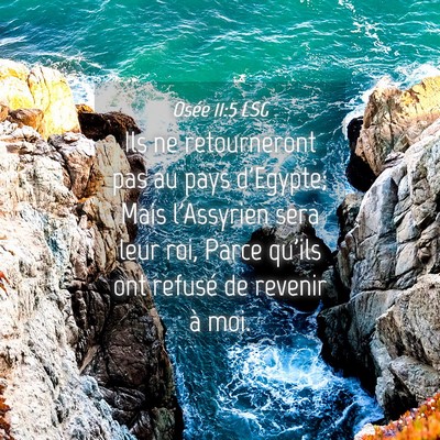 Picture 04 - Osée 11:5 LSG - Ils ne retourneront pas au pays d'Egypte; Mais - Bible Verse Picture