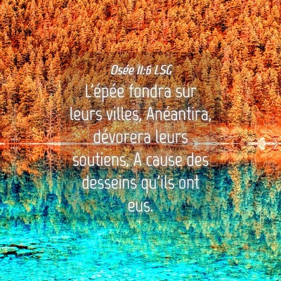 Picture 04 - Osée 11:6 LSG - L'épée fondra sur leurs villes, Anéantira, - Bible Verse Picture
