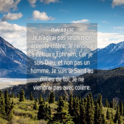 Picture 04 - Osée 11:9 LSG - Je n'agirai pas selon mon ardente colère, Je - Bible Verse Picture