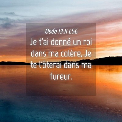 Picture 04 - Osée 13:11 LSG - Je t'ai donné un roi dans ma colère, Je te - Bible Verse Picture