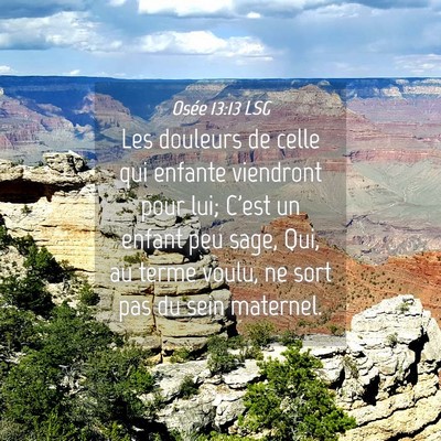 Picture 04 - Osée 13:13 LSG - Les douleurs de celle qui enfante viendront pour - Bible Verse Picture