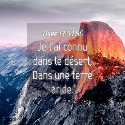 Picture 04 - Osée 13:5 LSG - Je t'ai connu dans le désert, Dans une terre - Bible Verse Picture
