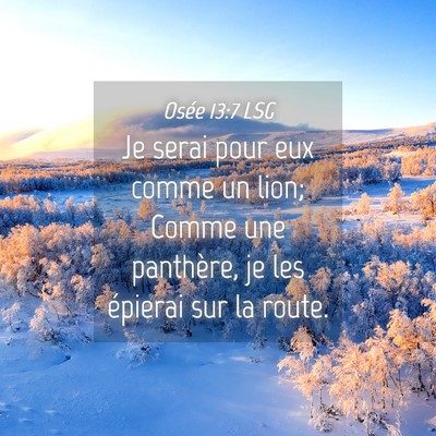 Picture 04 - Osée 13:7 LSG - Je serai pour eux comme un lion; Comme une - Bible Verse Picture