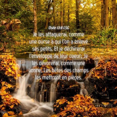 Picture 04 - Osée 13:8 LSG - Je les attaquerai, comme une ourse à qui l'on a - Bible Verse Picture