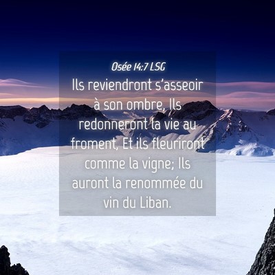 Picture 04 - Osée 14:7 LSG - Ils reviendront s'asseoir à son ombre, Ils - Bible Verse Picture
