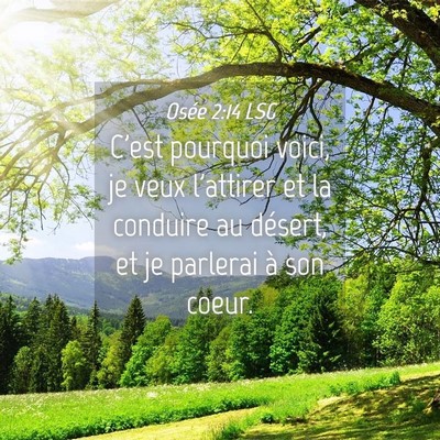 Picture 04 - Osée 2:14 LSG - C'est pourquoi voici, je veux l'attirer et la - Bible Verse Picture