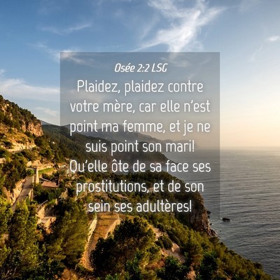 Picture 04 - Osée 2:2 LSG - Plaidez, plaidez contre votre mère, car elle - Bible Verse Picture