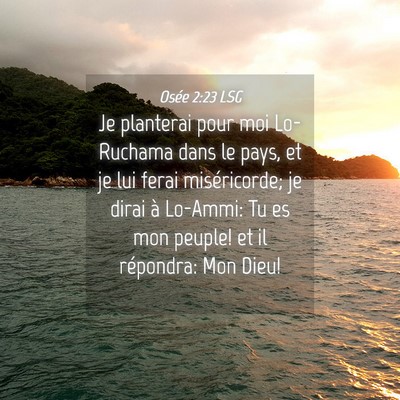 Picture 04 - Osée 2:23 LSG - Je planterai pour moi Lo-Ruchama dans le pays, et - Bible Verse Picture
