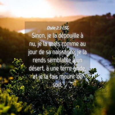 Picture 04 - Osée 2:3 LSG - Sinon, je la dépouille à nu, je la mets comme - Bible Verse Picture