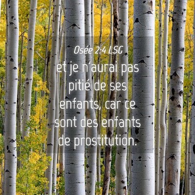 Picture 04 - Osée 2:4 LSG - et je n'aurai pas pitié de ses enfants, car ce - Bible Verse Picture