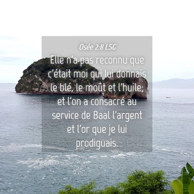 Picture 04 - Osée 2:8 LSG - Elle n'a pas reconnu que c'était moi qui lui - Bible Verse Picture